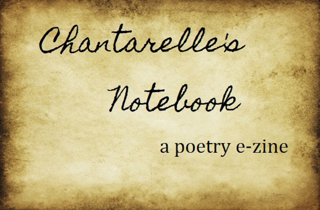 Chantarelle's Notebook
